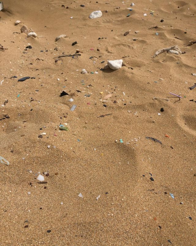 World health day today.
Through the Our planet, a health campaign, WHO urges governments and the public to share stories of steps they are taking to protect the planet and their health and prioritize well-being societies.

I continue to share my project’s journey “shores of plastic” with all of you from wherever I go, this time from the shores of Malta. Amazing coast but full of micro plastics. 
As many of you already know, this is an ongoing project, Shores of plastic, in which I am creating new series of cyanotype prints using found materials from different rivers and seas, mainly plastics. 

Although often aesthetically beautiful, the works point to the concerning profusion of these plastics in our environment. Hopefully, these prints will lead us to reflect on our daily actions and that everything we throw away comes back to us (via the air we breathe, the water we drink, and the soil we grow crops and raise animals on). 

This is an ongoing project but a final outcome with all prints included is on the way in the form of an artist book. 

Contact @gloriaceballosgloria if you are interested in purchasing one. Part of the sales will be donated to an organisation dedicated to reduce the plastic imprint.

Scroll down this account to see some of the cyanotypes.

#worldhealthday #healthiertomorrow #zeroplastic #nomoreplastic #zerowaste #plasticfree #plasticfreeliving #shoresofplastic #reuse #reduce #recycle #trashtag #ecoliving #noplastic #microplastics #microplasticos #plasticfree #cyanotype  #sinplastico #sinplastico #nomasplastico #shoresofplastic #gloriaceballos #menorcasinplastico #wip #plasticfreemenorca #shoresofplasticgloriaceballos